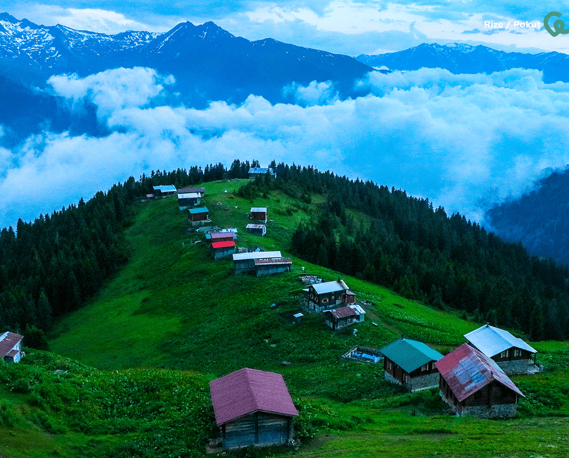 other/1-rize-pokut.png